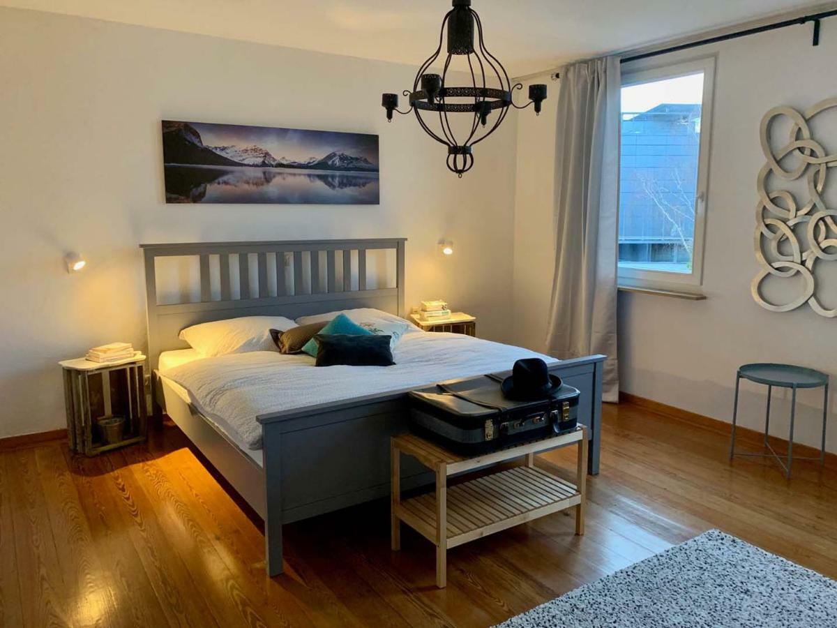 Deluxe Business City Apartments Metzingen Villa Landenberger Εξωτερικό φωτογραφία