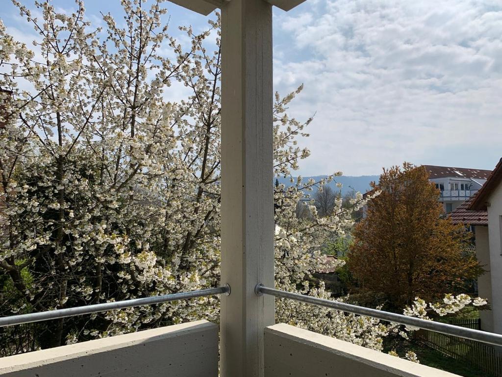 Deluxe Business City Apartments Metzingen Villa Landenberger Εξωτερικό φωτογραφία